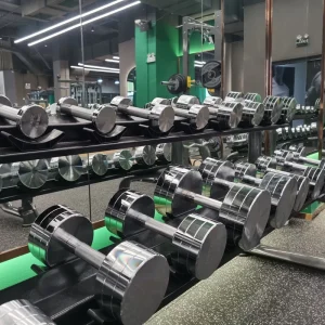 100 kg Solid Steel Dumbbell, Fixed 20 kg, Electroplated