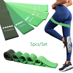 12 Inch Set of 5 Resistance Loop Bands for Physical Therapy Exercise with Carry Bag