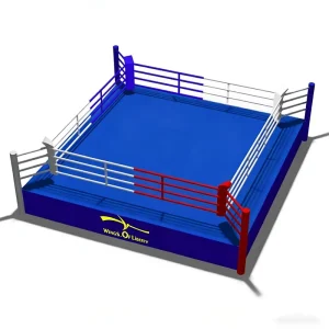 12ft Canvas-Covered Steel Boxing and Wrestling Ring for Kids
