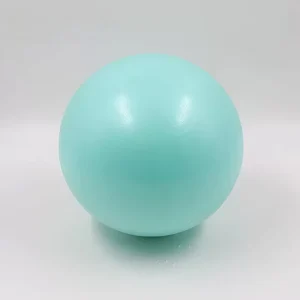 25cm Thickened PVC Mini Yoga Ball Pilates Tool for Barre and Physical Therapy Factory Manufacturer Bulk Supplier