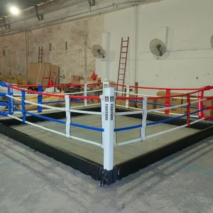 3-5m Foldable Boxing Ring with Custom Logo for Limited Gym Space