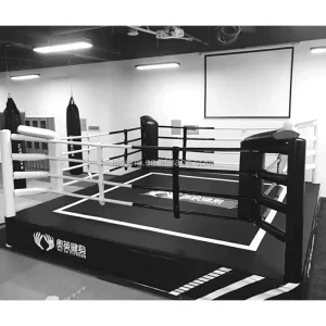 3m x 3m Floor Wrestling Boxing Ring for Kids Gym or Home Training