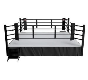 3×3 Portable Standard Boxing Ring with Mat Floor for Competition, Training, or Home Use