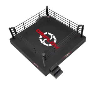4 x 4 m Portable Elevated Stainless Steel Boxing Ring Full Set
