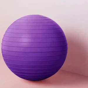 40-Pack 65cm Anti-Burst Eco-Friendly Thickened PVC Exercise Balls with Pump