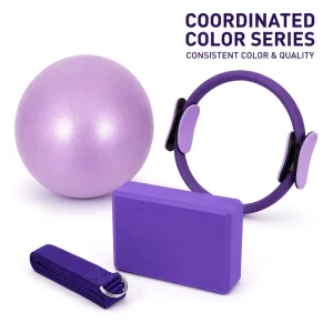 4PC Pilates Studio Accessories Kit with 25cm Magic Ring PVC Pilates Ball EVA Yoga Block D-Ring Stretch Strap