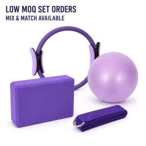 4PC Yoga Home Training Accessories Set with 25cm Pilates Circle PVC Mini Exercise Ball EVA Foam Block D-Ring Stretch Strap