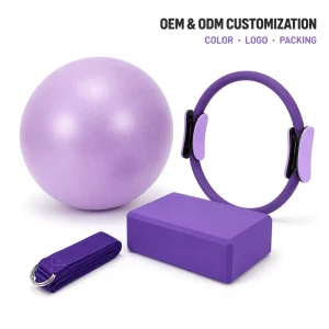4PC Yoga Pilates Training Equipment Set with 25cm PVC Toning Ball, EVA Yoga Block and D-Ring Stretch Strap OEM