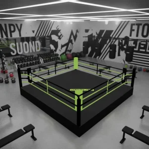 4m/5m/6m Foldable Collapsible Elevated Portable Floor Boxing Ring