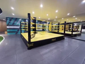 5 x 5 m Boxing Ring with Custom Logo for Competition and Gym Training