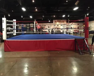 5m x 5m Customized MMA Octagon Boxing Ring