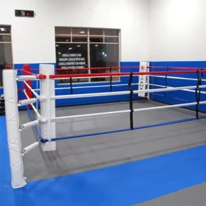 5m x 5m Floor-Mounted Boxing Ring