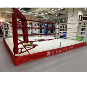 7.8 x 7.8 x 1m International Standard Competition Training MMA Cage Octagon Fight Ring Boxing Ring for Export