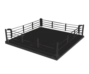 AIBA Standard Competition Boxing Ring Stainless Steel Ground-Floor Mounted Equipment