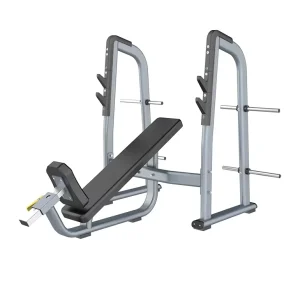 ASM B4054 Adjustable Incline Toning Metal Bench Strength Training Equipment for Racks & Workouts