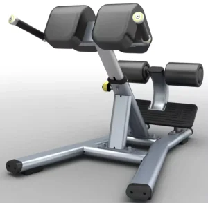 ASM B4057 Back Extension Roman Chair Machine Strength Training for Gym Clubs