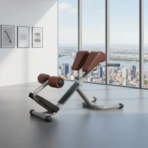 ASM T1027 Bodybuilding Machine Roman Chair for Gym