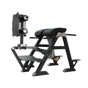 Adjustable 2 in 1 Glute Ham Developer Reverse Hammer GHD Training Chair Durable Steel Roman Bench with Safety Features