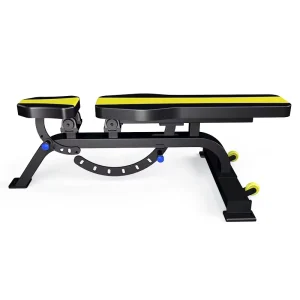 Adjustable Dumbbell Bench Strength Training Bench