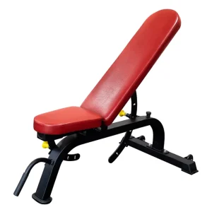 Adjustable Incline and Flat Weight Bench Press for Gym