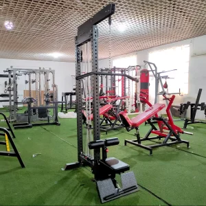 Adjustable Pin-Loaded High-Pull Strength Training Machine