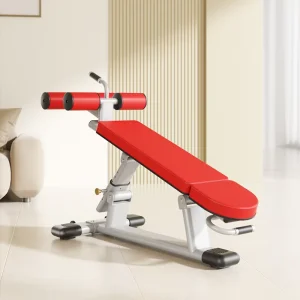 Adjustable Portable Metal Multi-Functional Weight Bench and Abdominal Trainer