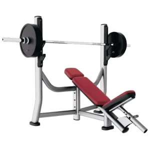 Adjustable Steel Incline Flat Weight Bench for Strength Training