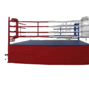 Adult Boxing and Wrestling Ring