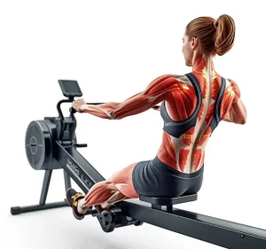 Air Rowing Machine with Silent Flywheel, Home Fitness Use