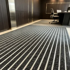 Anti-Slip Washable Aluminum Floor Mat 2 cm Thick Waterproof Pet-Friendly Easy-Clean Commercial Entrance for Hotels and Malls