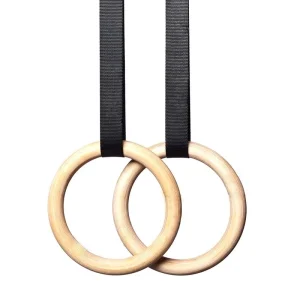 Artistic Gymnastics Training Equipment with Rings, Pins, and Suspension Trainers