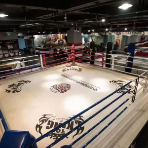 Boxing Ring F5105 High-Strength Steel Frame Easy Installation for Kickboxing