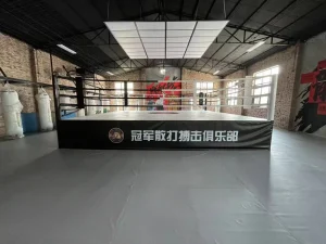 Boxing Ring for Martial Arts Training and Events