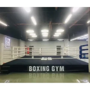 Boxing Ring for Muay Thai Competition and Training, Steel Frame MMA Cage