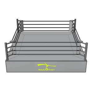 Boxing Ring for Training