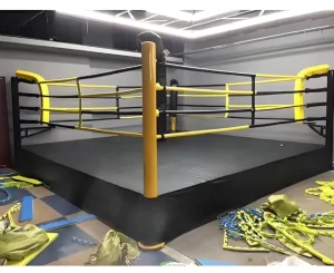 Boxing and Wrestling Ring for Martial Arts Training