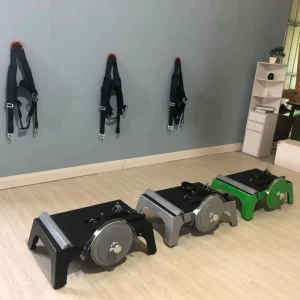 Centrifugal Flywheel Resistance Training Device for Leg Training