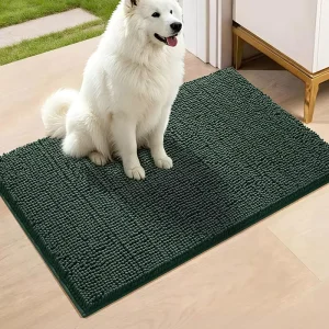 Chenille Cushioned Reversible Thick Floor Mat, Water-Absorbent Non-Slip Machine Washable Pet-Friendly Entrance Mat