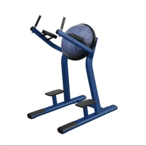 Chin-Up Dip Vertical Knee Raise Abdominal Machine