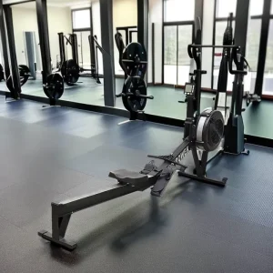 Commercial 10-Speed Resistance 120KG Load-Bearing Steel Aluminum Indoor Seated Air Rower