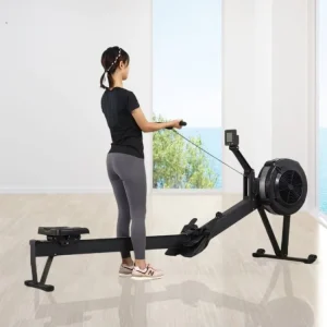 Commercial Air Rower with Iron Frame, Iron Flywheel, and Monitor