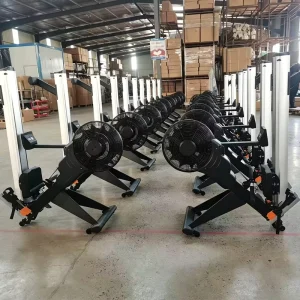 Commercial Air Rowing Machine