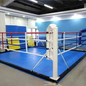 Commercial Boxing Ring MMA Octagon Cage for Wrestling
