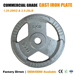 Commercial Cast Iron 3-Grip, 3-Hole Weight Plate for Weightlifting and Strength Training