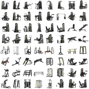 Commercial Chest Press and High/Low Back Extension Strength Training Machine, Complete Set