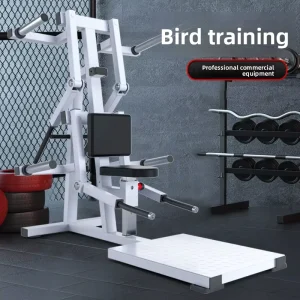 Commercial Dual Function Lat Pulldown Machine Dual Arm Abduction Gym Trainer for Professional Shoulder & Arm Strength Training