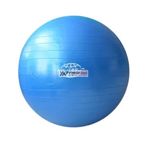 Commercial Fitness Equipment Personal Training Accessories