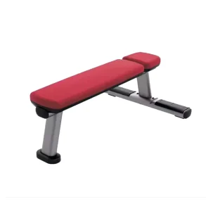 Commercial Flat Dumbbell Bench