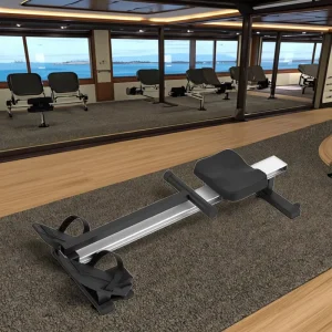 Commercial Foldable Rowing Machine, Metal Construction, Home Gym Use