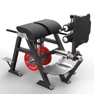 Commercial Glute Ham Developer Roman Chair Hyperextension Hip Training Equipment Reverse Hyper Back Extension